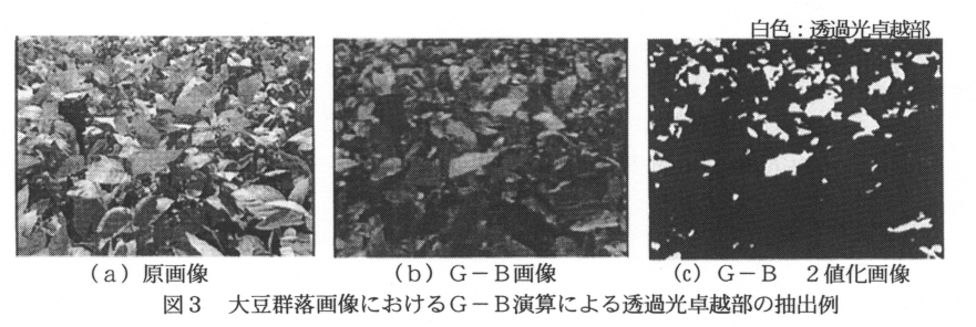211952-3.gif
