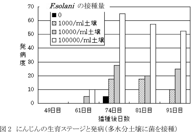 212291-2.jpg