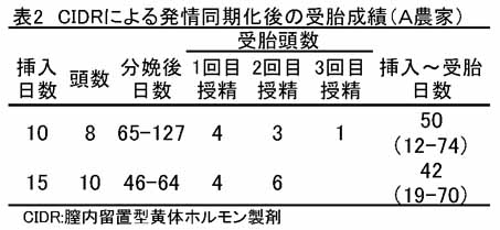 213707-2.jpg