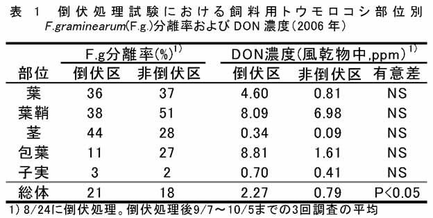 213709-4.jpg