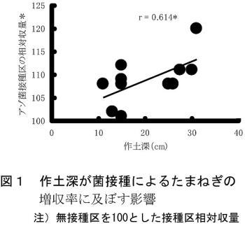213940-1.jpg