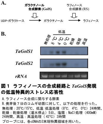 213951-1.jpg