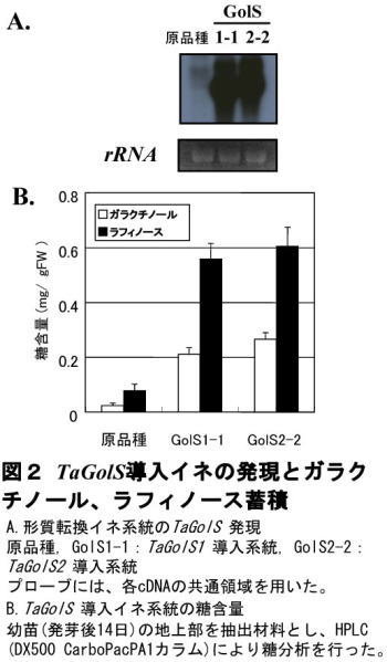 213951-2.jpg