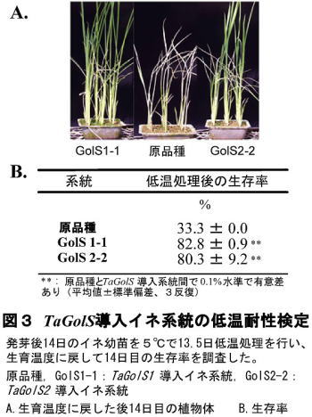 213951-3.jpg