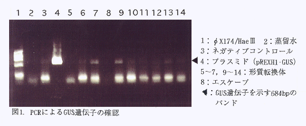 215474-3.gif