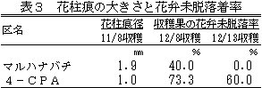 219177-4.jpg