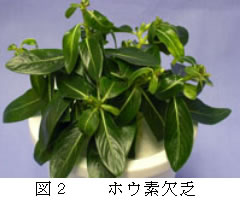 220167-2.jpg