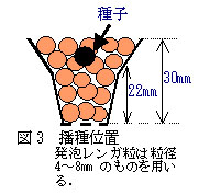 220273-3.jpg