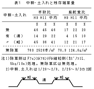 221368-2.jpg