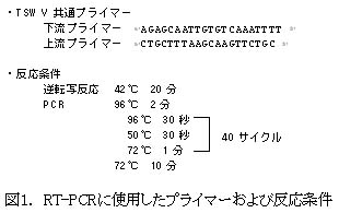 221596-1.jpg