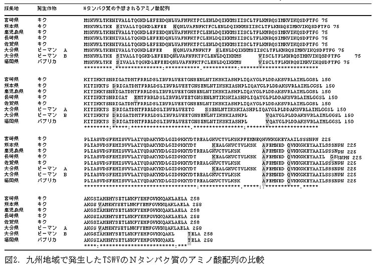 221596-2.jpg