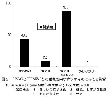 222553-3.jpg