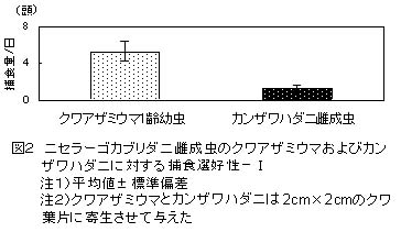 222566-2.jpg