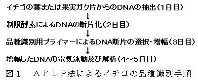 222783-2.jpg
