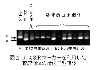223081-2.jpg