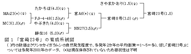 223084-1.jpg