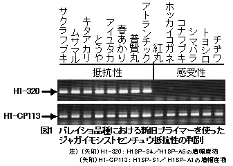 223196-1.jpg