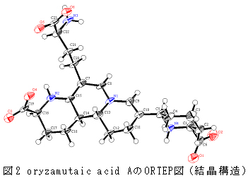 223551-4.jpg