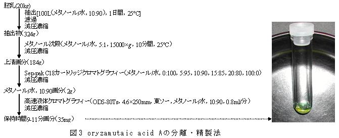 223551-5.jpg