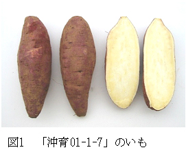 223559-1.jpg