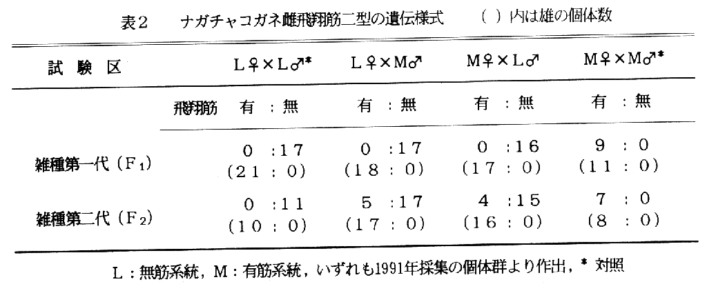 223904-4.gif