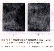 224479-1.gif
