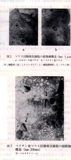 224479-2.gif