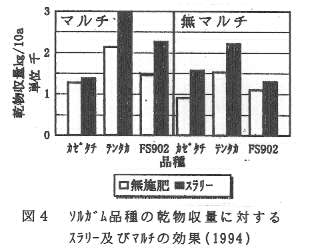 224735-4.jpg
