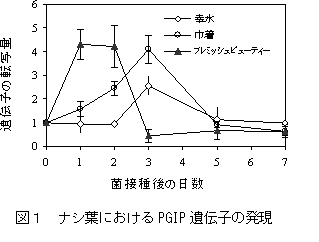 225362-1.png