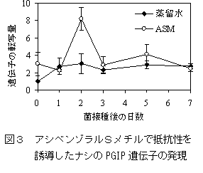 225362-3.png