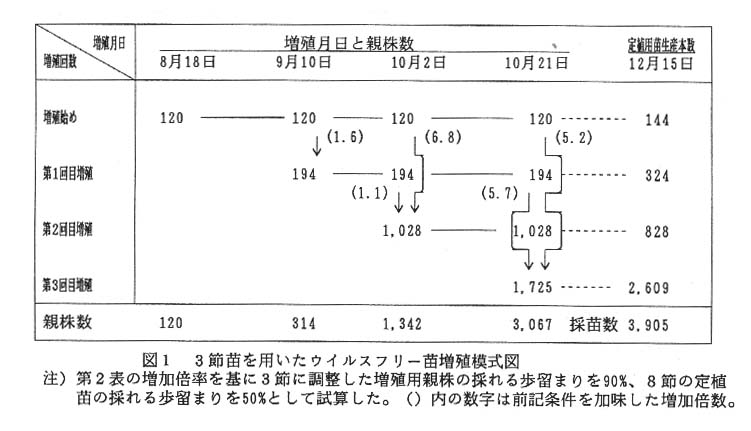 228699-1.jpg