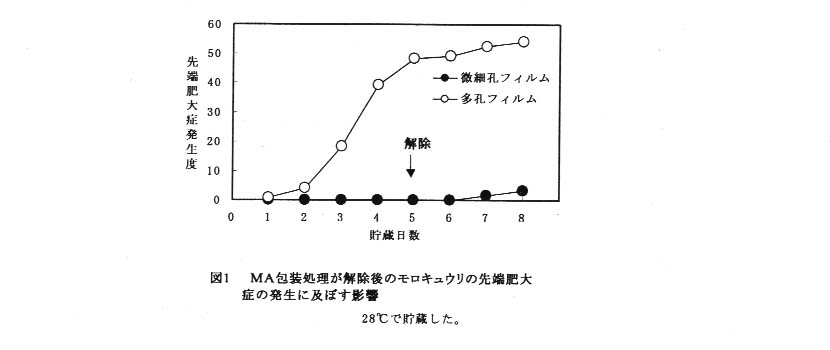 228913-1.jpg