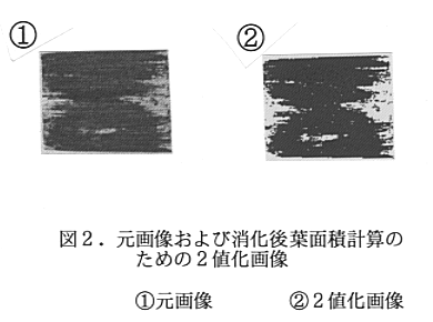 231384-2.gif
