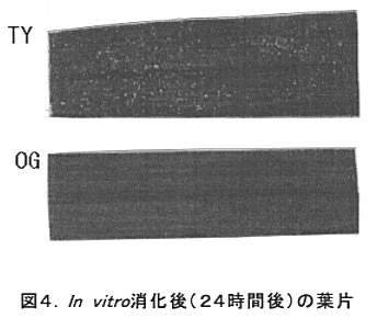 231384-4.gif