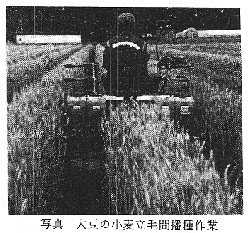 233716-4.gif