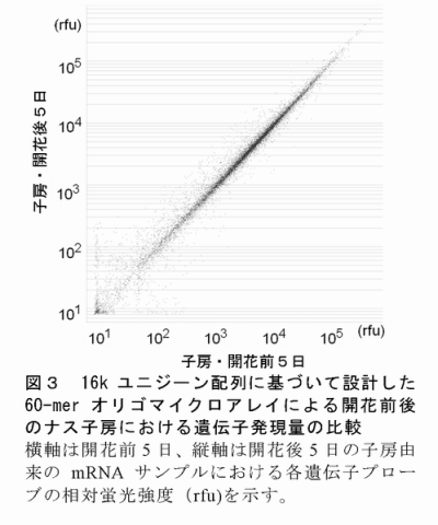 233836-4.png