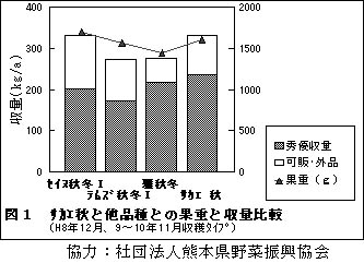 234964-2.jpg