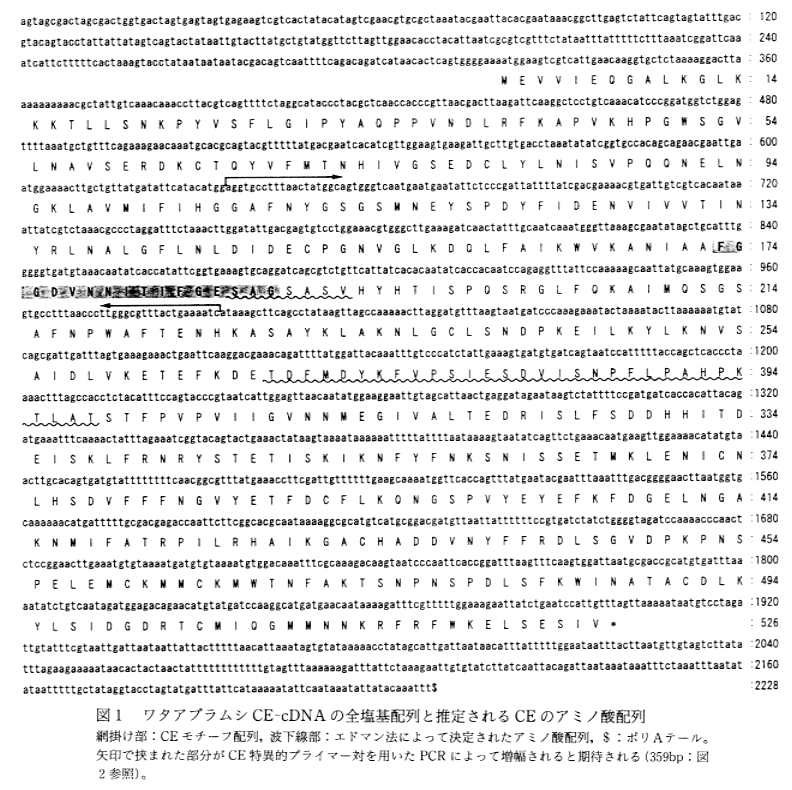 235103-2.gif