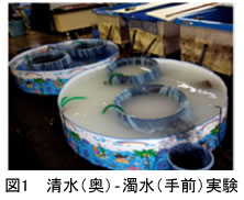 235456-1.jpg