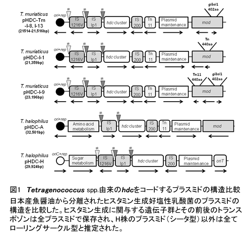 235522-1.gif