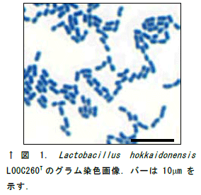 236026-1.png