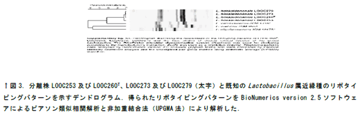 236026-3.png