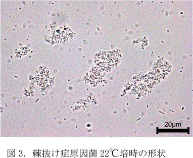 236835-3.jpg
