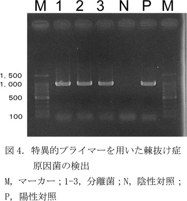 236835-4.jpg