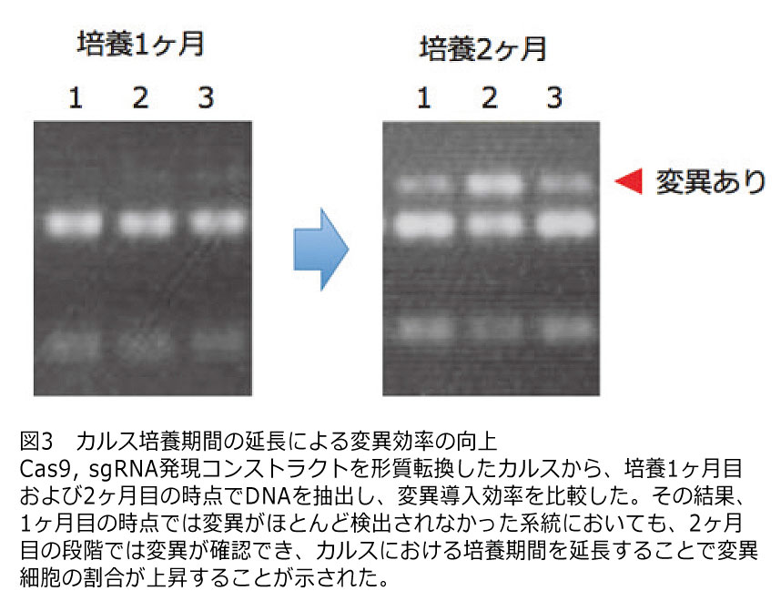 236872-6.jpg