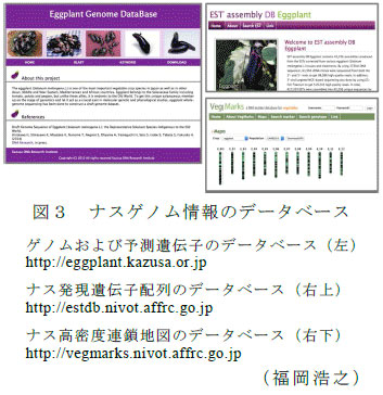 237060-4.jpg