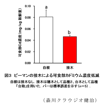 237674-3.gif
