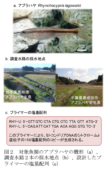 237764-2.gif