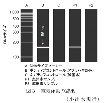 237764-3.gif